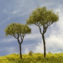 model trees